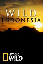 Indonesia salvaje