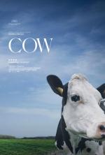 Vaca 