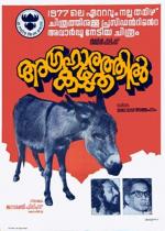 Donkey in a Brahmin Village 