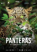 Panteras 