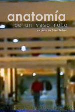 Anatomía de un vaso roto 