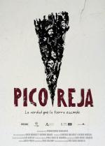 Pico Reja, la verdad que la tierra esconde 
