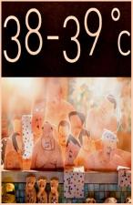 38-39°C
