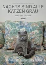 All Cats Are Grey In The Dark