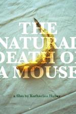 The Natural Death of a Mouse