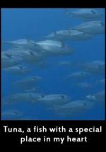 Tuna: A Fish with a Special Place in My Heart