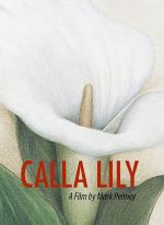 Calla Lily 