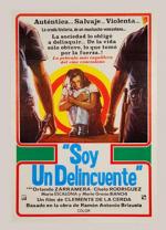Soy un delincuente 