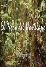 El perro del hortelano 