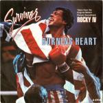 Survivor: Burning Heart