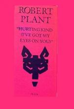 Robert Plant: Hurting Kind