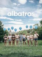 Albatros