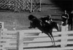 Olympia 52 
