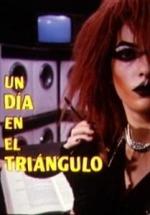 Un día en el triángulo 