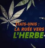 El filón de la marihuana