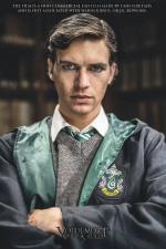 Voldemort: Los orígenes del heredero 