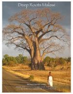 Malawi: Raíces profundas 