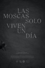 Las moscas solo viven un día