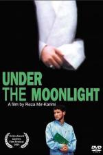 Under the Moonlight 