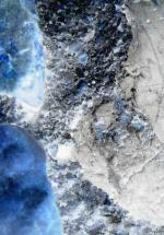 Ecosystem 21 - Canis Majoris