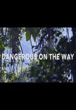Dangerous on the Way 