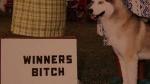 Winners Bitch