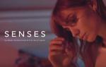 Senses