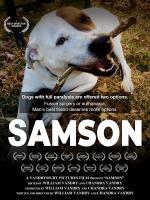 Samson 
