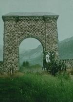 Le Parc national de Yellowstone