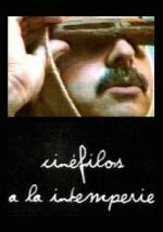 Cinéfilos a la intemperie 