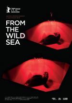 From the Wild Sea 