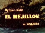 El mejillón en Galicia
