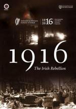 1916: The Irish Rebellion