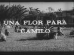 Una flor para Camilo