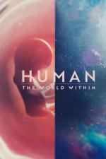 Dentro del cuerpo humano