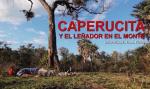 Caperucita y el Leñador en el monte: Después del final feliz