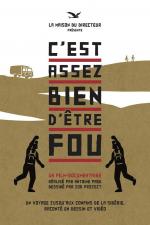 C'est assez bien d'être fou 