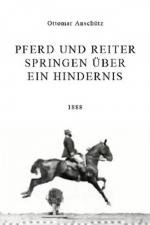 Pferd und reiter springen über ein hindernis