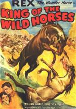 El rey de los caballos salvajes 