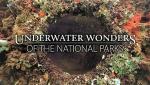 Underwater Wonders of the National Parks