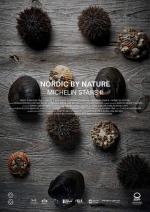 Estrellas Michelin II - Nórdico por Naturaleza 