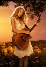Taylor Swift: Fifteen