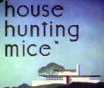 House Hunting Mice