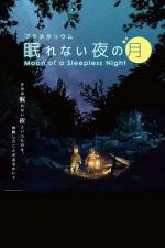 Moon of a Sleepless Night 