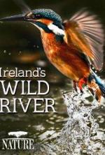 En un río de Irlanda 
