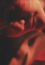 Celebration: The Loving of Things Seen