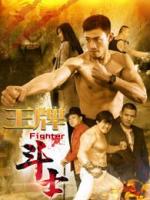 Fighter