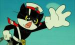 Black Cat Detective