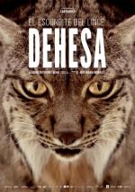 Dehesa, el bosque del lince ibérico 
