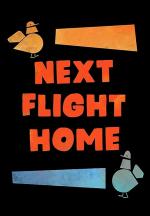 Next Flight Home